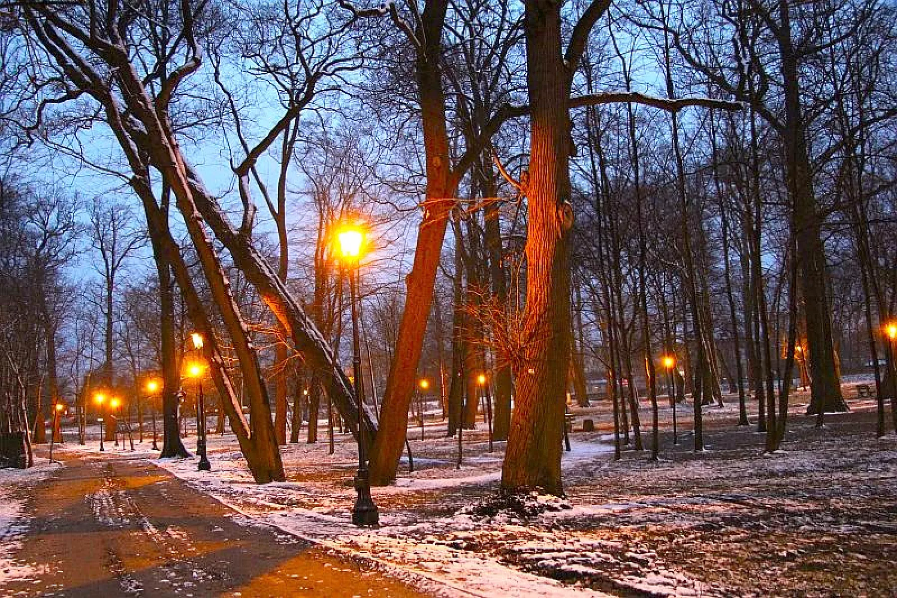 Park Briggsów w zimowy wieczór